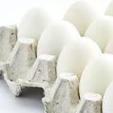 Egg