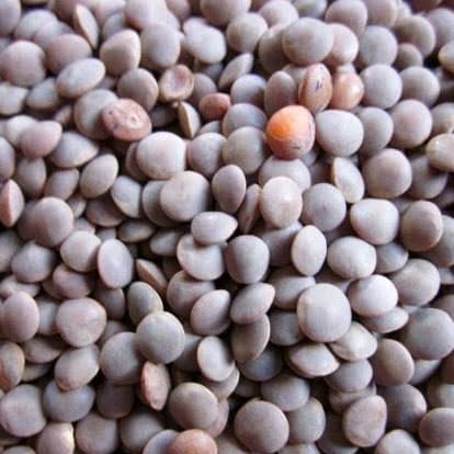 Daal Massr Sabit 250gm